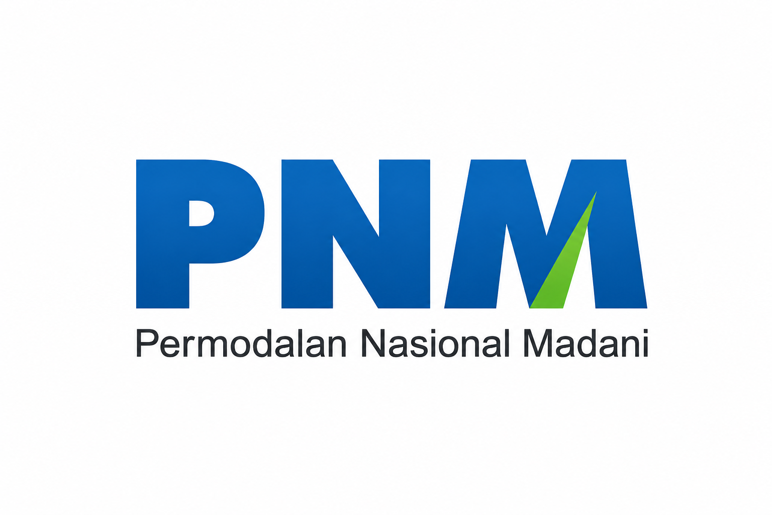 PT PNM